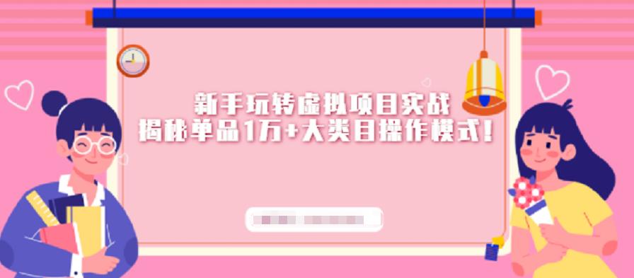 新手玩转虚拟项目实战，揭秘单品1万+大类目操作模式【视频课程】-小白项目网