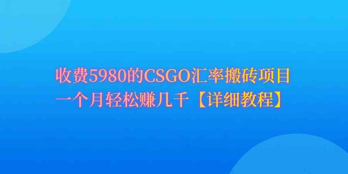 （9776期）CSGO装备搬砖，月综合收益率高达60%，你也可以！-小白项目网