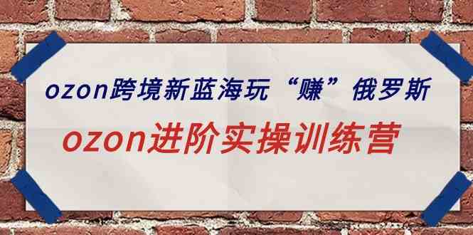 （9800期）ozon跨境新蓝海玩“赚”俄罗斯，ozon进阶实操训练营-小白项目网