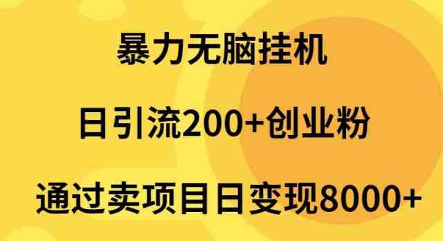 （9788期）暴力无脑挂机日引流200+创业粉通过卖项目日变现2000+-小白项目网