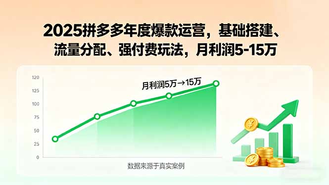 2025拼多多年度爆款运营，基础搭建、流量分配、强付费玩法，月利润5-15万-小白项目网