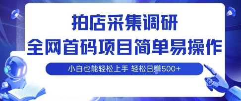 拍店采集调研，全网首码项目，简单易操作， 小白也能轻松上手，多账号操作，轻松日入5张【揭秘】-小白项目网
