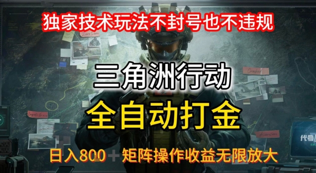 三角洲板砖揭秘项目免费送卡密-小白项目网