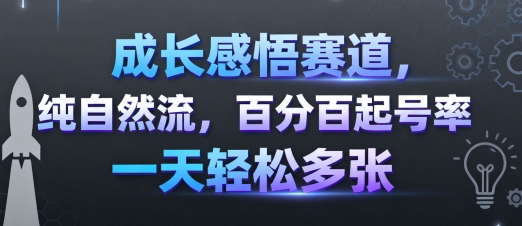 成长感悟赛道，纯自然流，百分百起号率 一天轻松多张-小白项目网