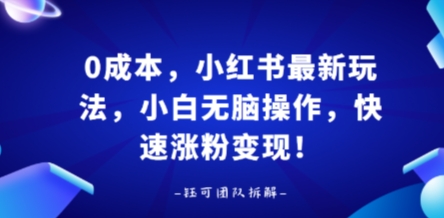 0成本，小红书最新玩法，小白无脑操作，快速涨粉变现-小白项目网