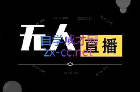 宝子哥·无人直播-非实时防风技术(更新9月)-小白项目网