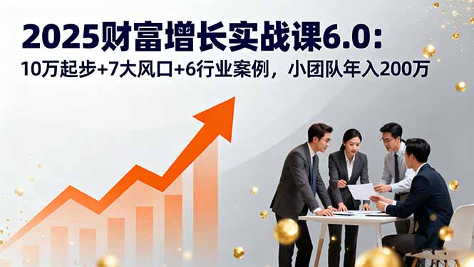 2025财富增长实战课6.0：10万起步+7大风口+6行业案例，小团队年入200万-小白项目网