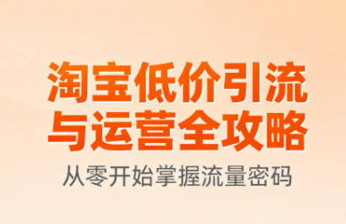 淘宝低价引流与运营全攻略(更新9月)-小白项目网
