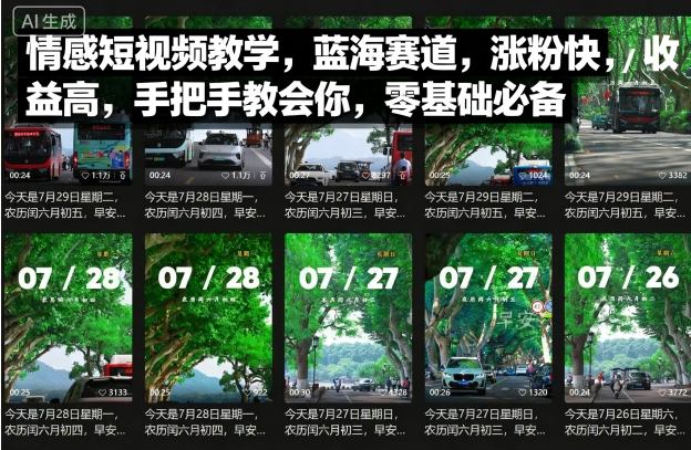 情感短视频教学，蓝海赛道，涨粉快，收益高，手把手教会你，零基础必备-小白项目网
