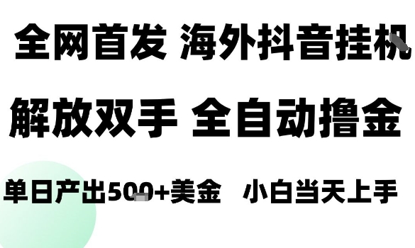 海外抖音无人直播，单日产出1.5k+，长期稳定，新手可玩，无脑操作【揭秘】-小白项目网