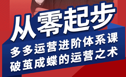 海神·拼多多运营进阶系统课(更新9月)-小白项目网