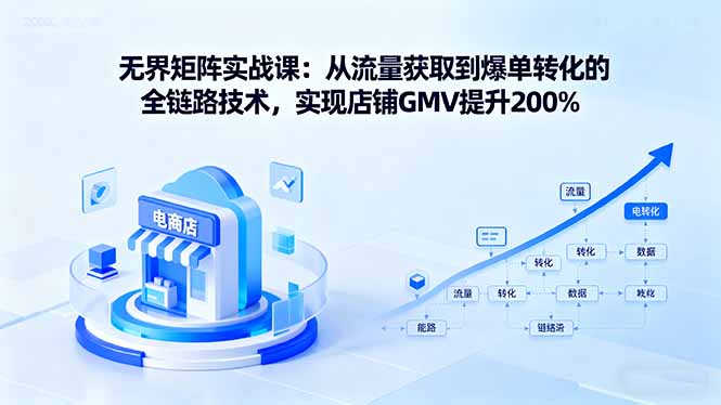 无界矩阵实战课：从流量获取到爆单转化的全链路技术，实现店铺GMV提升200%-小白项目网