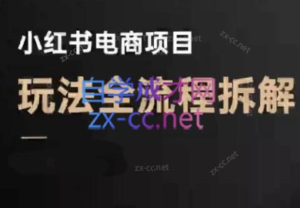 菲菲老师·小红书电商玩法(更新9月)-小白项目网