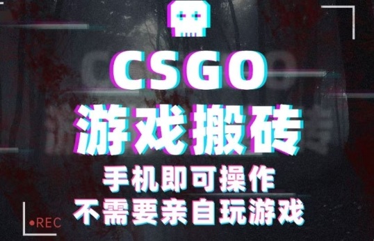 CSGO游戏挂G捡漏，单日扫货5张+，年底小高峰上车可吃肉，手机即可操作，兼职副业创业网创【揭秘】-小白项目网