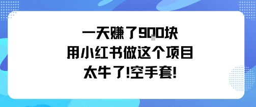 一天挣了9张用小红书做这个项目太牛了，空手套-小白项目网