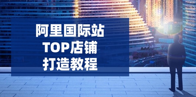 （14269期）阿里国际站TOP店铺打造教程：涵盖平台到高阶，解决运营难题，提升询盘-小白项目网