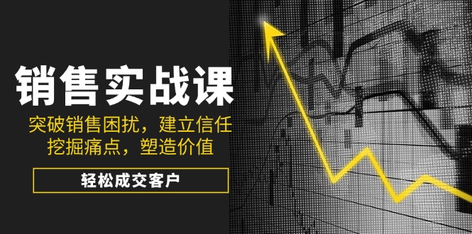 （14297期）销售实战课，突破销售困扰，建立信任，挖掘痛点，塑造价值，轻松成交客户-小白项目网