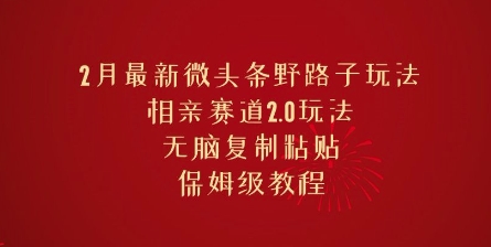 2月最新微头条野路子玩法，相亲赛道2.0玩法，无脑复制粘贴，保姆级教程-小白项目网
