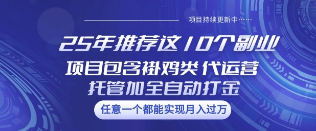 25年推荐这10个副业项目包含褂鸡类、代运营托管类、全自动打金类【揭秘】-小白项目网