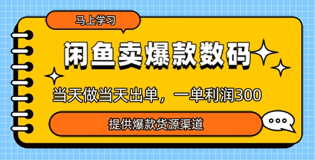闲鱼卖爆款货源，当天做当天出单，一单利润3张-小白项目网