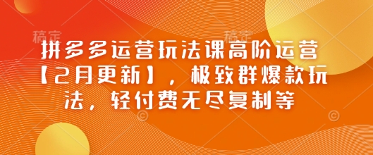 拼多多运营玩法课高阶运营【2月更新】，极致群爆款玩法，轻付费无尽复制等-小白项目网