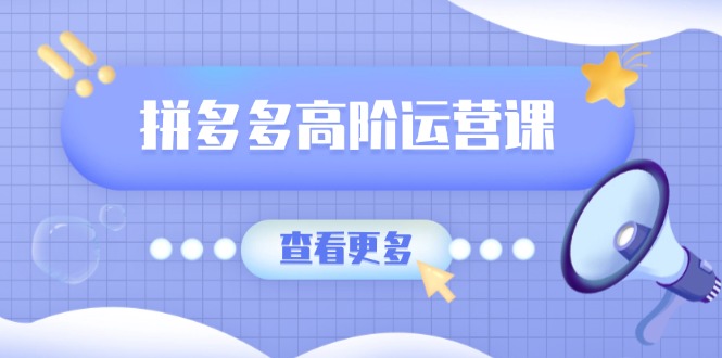 （14327期）拼多多高阶运营课：极致群爆款玩法，轻付费无尽复制，打造单品爆款之路-小白项目网