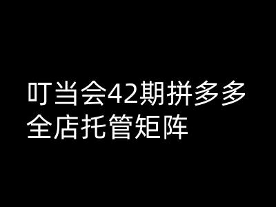 叮当会拼多多打爆班原创高阶技术第42期，拼多多全店托管矩阵-小白项目网